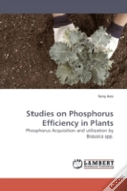 Capa do artigo Studies On Phosphorus Efficiency In Plan