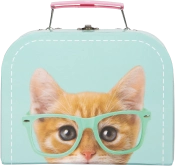 Capa do artigo Studio Pets - RayBen