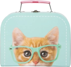 Capa do artigo Studio Pets - RayBen