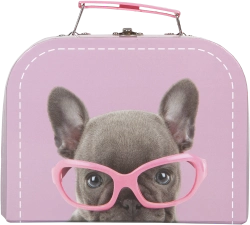 Capa do artigo Studio Pets - Shady