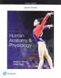 Study Guide For Human Anatomy & Physiology - Preview