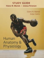 Study Guide For Human Anatomy & Physiology - Preview