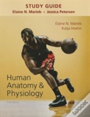 Capa do artigo Study Guide For Human Anatomy & Physiology