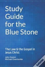 Capa do artigo Study Guide For The Blue Stone