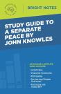 Study Guide To A Separate Peace By John Knowles - Preview