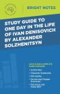 Study Guide To One Day In The Life Of Ivan Denisovich By Alexander Solzhenitsyn - Preview