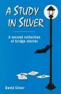 Study In Silver - Preview