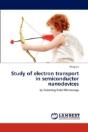Study Of Electron Transport In Semiconductor Nanodevices - Preview