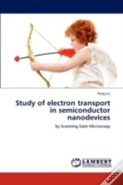 Capa do artigo Study Of Electron Transport In Semiconductor Nanodevices