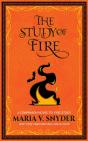 Study Of Fire - Preview