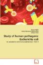 Study Of Human Pathogenic Escherichia Coli - Preview