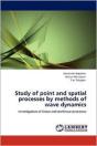 Study Of Point And Spatial Processes By - Preview