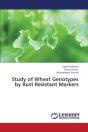 Study Of Wheat Genotypes By Rust Resistant Markers - Preview