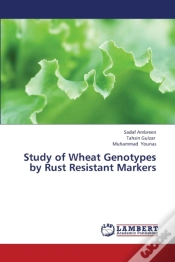 Capa do artigo Study Of Wheat Genotypes By Rust Resistant Markers