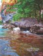 Study Write Psalms 1 To 41 - Preview