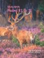 Study Write Psalms 42 To 72 - Preview