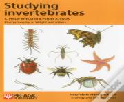 Studying Invertebrates