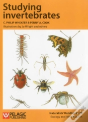 Capa do artigo Studying Invertebrates
