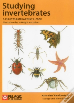Capa do artigo Studying Invertebrates