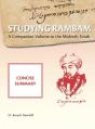 Studying Rambam. A Companion Volume To The Mishneh Torah. - Preview