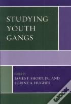 Studying Youth Gangs