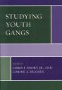 Studying Youth Gangs - Preview