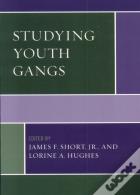 Studying Youth Gangs