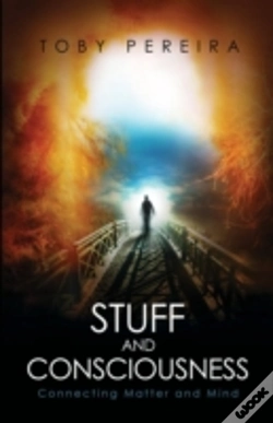Capa do artigo Stuff And Consciousness