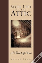 Capa do artigo Stuff Left In The Attic