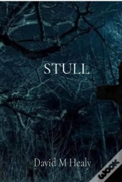 Capa do artigo Stull