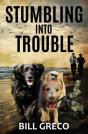 Stumbling Into Trouble - Preview