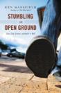 Stumbling On Open Ground - Preview