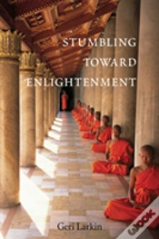 Capa do artigo Stumbling Toward Enlightenment
