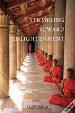 Capa do artigo Stumbling Toward Enlightenment