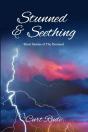 Stunned & Seething - Preview