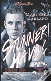Capa do artigo Stunner/ Havoc Duet (Bones Mc)