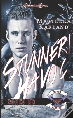 Capa do artigo Stunner/ Havoc Duet (Bones Mc)
