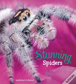 Capa do artigo Stunning Spiders