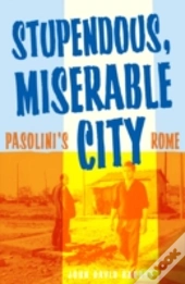 Stupendous, Miserable City