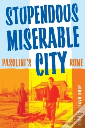 Stupendous, Miserable City