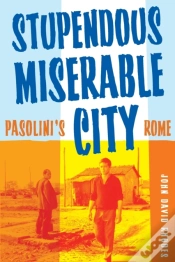 Capa do artigo Stupendous, Miserable City