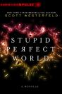 Stupid Perfect World - Preview