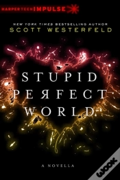 Capa do artigo Stupid Perfect World