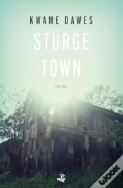 Capa do artigo Sturge Town