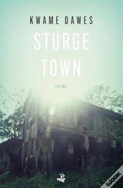 Capa do artigo Sturge Town