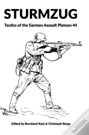 Capa do artigo Sturmzug