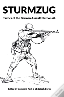 Capa do artigo Sturmzug