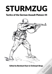 Capa do artigo Sturmzug
