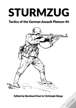Capa do artigo Sturmzug