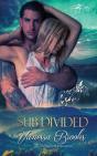 Sub-Divided - Preview